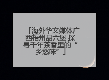 海外华文媒体广西梧州品六堡 探寻千年茶香里的“乡愁味”