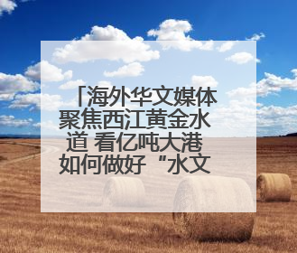 海外华文媒体聚焦西江黄金水道 看亿吨大港如何做好“水文章”