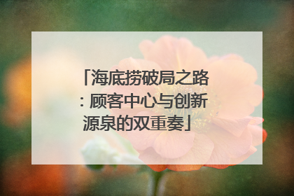 海底捞破局之路：顾客中心与创新源泉的双重奏