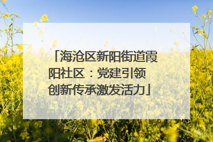 海沧区新阳街道霞阳社区：党建引领 创新传承激发活力