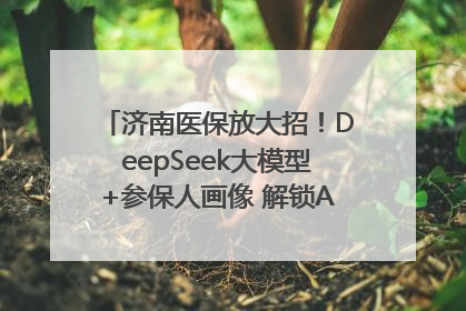 济南医保放大招！DeepSeek大模型+参保人画像 解锁AI医保管家新体验