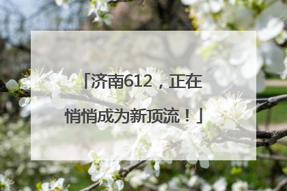 济南612，正在悄悄成为新顶流！