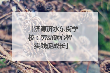 济源济水东街学校：劳动砺心智 实践促成长