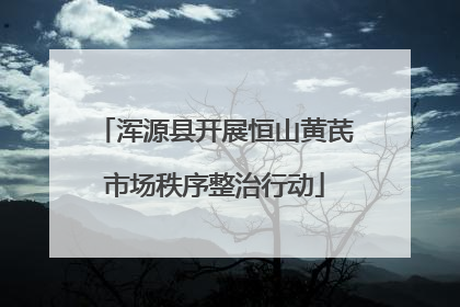 浑源县开展恒山黄芪市场秩序整治行动
