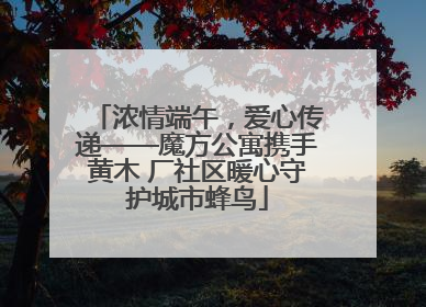 浓情端午，爱心传递——魔方公寓携手黄木 厂社区暖心守护城市蜂鸟
