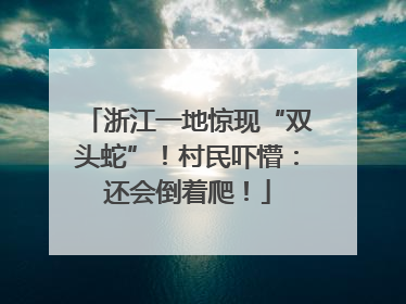 浙江一地惊现“双头蛇”！村民吓懵：还会倒着爬！