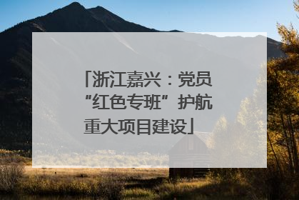 浙江嘉兴：党员“红色专班”护航重大项目建设