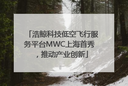 浩鲸科技低空飞行服务平台MWC上海首秀，推动产业创新