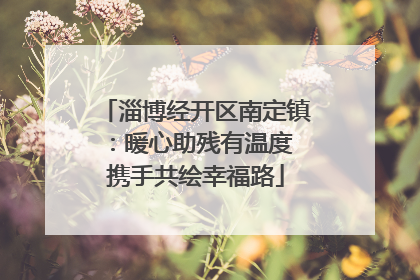 淄博经开区南定镇：暖心助残有温度 携手共绘幸福路