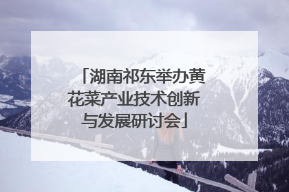 湖南祁东举办黄花菜产业技术创新与发展研讨会