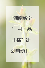 湖南新宁“一村一品一主播”计划启动