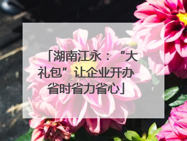 湖南江永：“大礼包”让企业开办省时省力省心