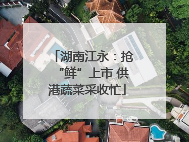 湖南江永：抢“鲜”上市 供港蔬菜采收忙