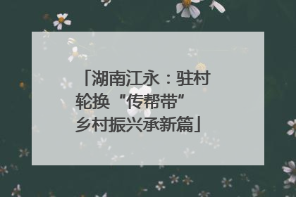 湖南江永：驻村轮换“传帮带” 乡村振兴承新篇