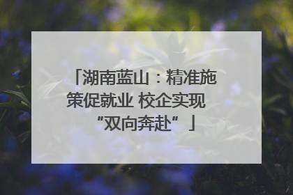 湖南蓝山：精准施策促就业 校企实现“双向奔赴”