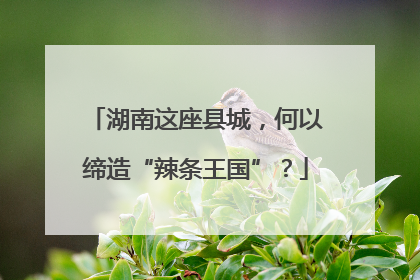 湖南这座县城，何以缔造“辣条王国”？