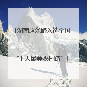 湖南这条路入选全国“十大最美农村路”