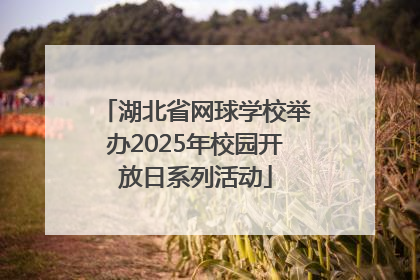 湖北省网球学校举办2025年校园开放日系列活动