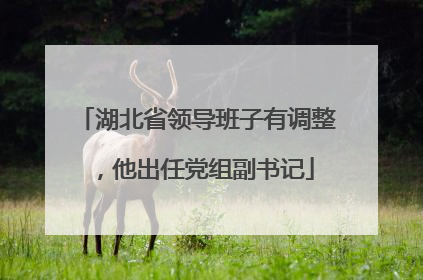 湖北省领导班子有调整，他出任党组副书记