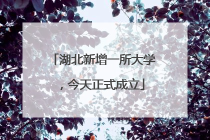 湖北新增一所大学，今天正式成立