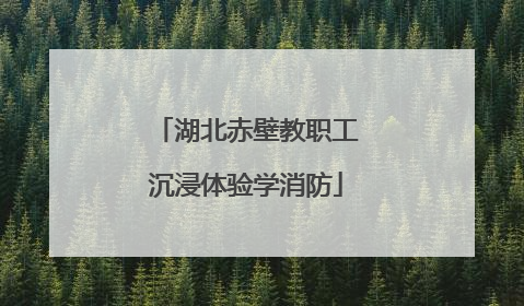 湖北赤壁教职工沉浸体验学消防
