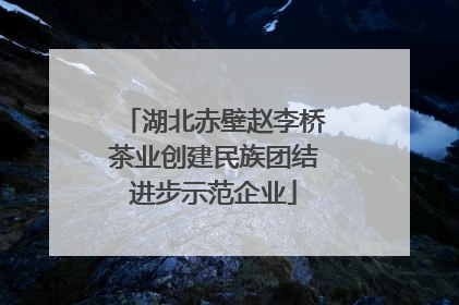 湖北赤壁赵李桥茶业创建民族团结进步示范企业
