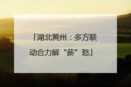 湖北黄州：多方联动合力解“薪”愁
