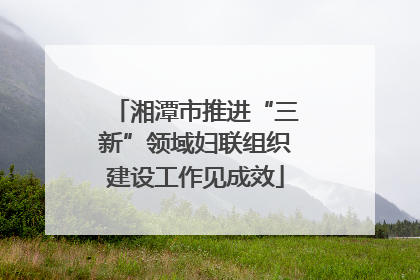 湘潭市推进“三新”领域妇联组织建设工作见成效