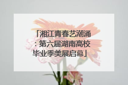 湘江青春艺潮涌：第六届湖南高校毕业季美展启幕