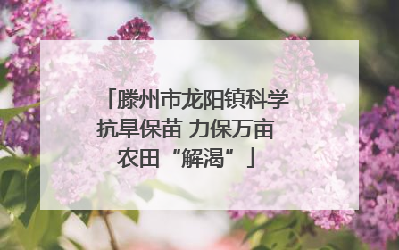 滕州市龙阳镇科学抗旱保苗 力保万亩农田“解渴”