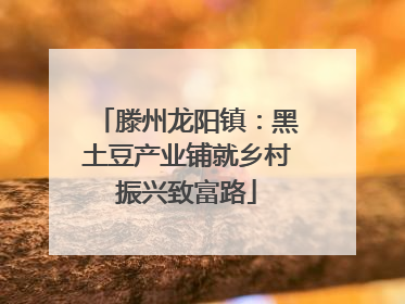 滕州龙阳镇：黑土豆产业铺就乡村振兴致富路