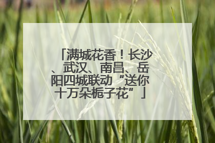 满城花香！长沙、武汉、南昌、岳阳四城联动“送你十万朵栀子花”