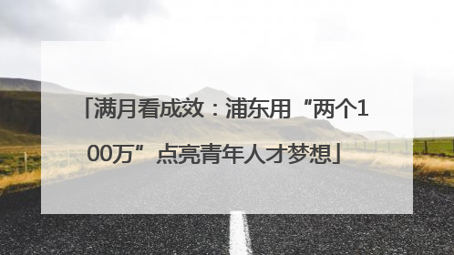 满月看成效：浦东用“两个100万”点亮青年人才梦想