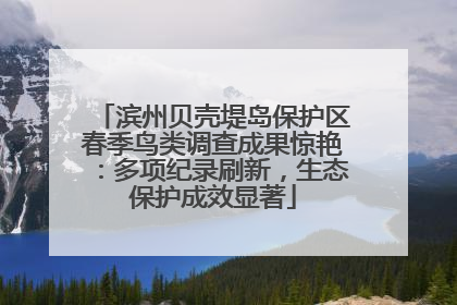滨州贝壳堤岛保护区春季鸟类调查成果惊艳：多项纪录刷新，生态保护成效显著