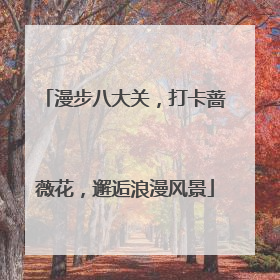 漫步八大关，打卡蔷薇花，邂逅浪漫风景