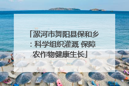 漯河市舞阳县保和乡：科学组织灌溉 保障农作物健康生长