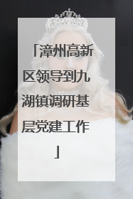 漳州高新区领导到九湖镇调研基层党建工作