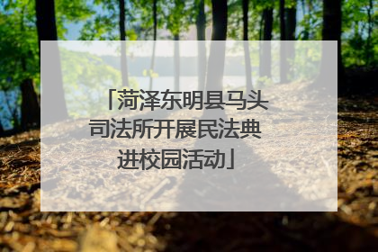 菏泽东明县马头司法所开展民法典进校园活动