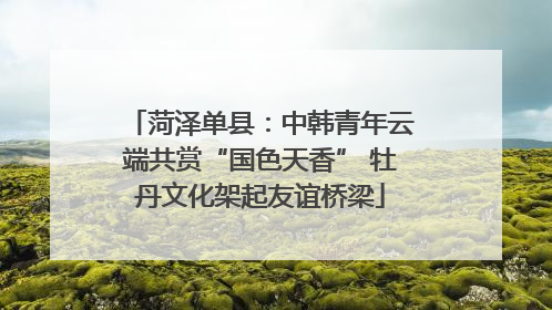 菏泽单县：中韩青年云端共赏“国色天香” 牡丹文化架起友谊桥梁