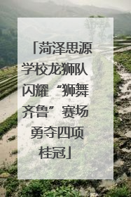 菏泽思源学校龙狮队闪耀“狮舞齐鲁”赛场 勇夺四项桂冠