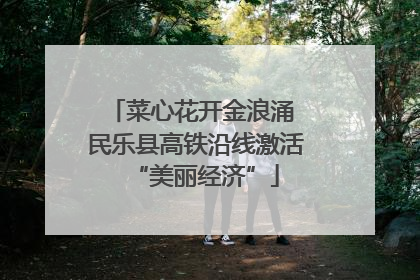 菜心花开金浪涌 民乐县高铁沿线激活“美丽经济”