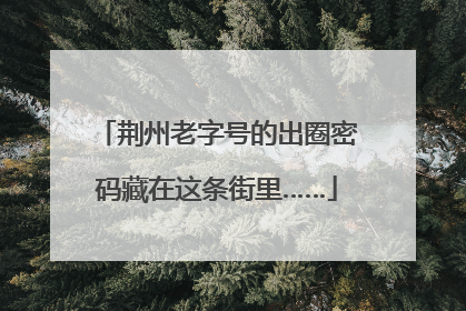 荆州老字号的出圈密码藏在这条街里……