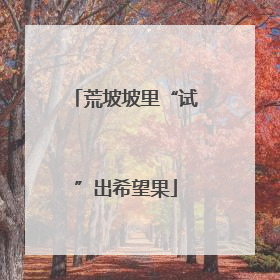 荒坡坡里“试”出希望果
