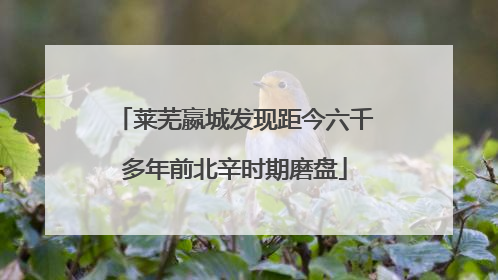 莱芜嬴城发现距今六千多年前北辛时期磨盘