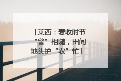 莱西：麦收时节“警”相随，田间地头护“农”忙