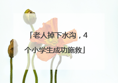 老人掉下水沟，4个小学生成功施救