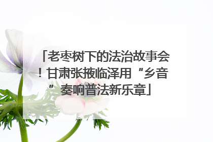 老枣树下的法治故事会！甘肃张掖临泽用“乡音”奏响普法新乐章