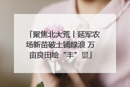 聚焦北大荒丨延军农场新苗破土铺绿浪 万亩良田绘“丰”景