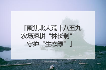 聚焦北大荒｜八五九农场深耕“林长制” 守护“生态绿”