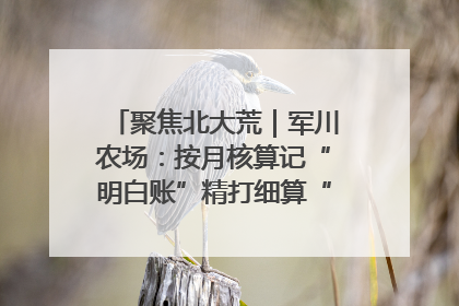 聚焦北大荒｜军川农场：按月核算记“明白账”精打细算“过紧日子”